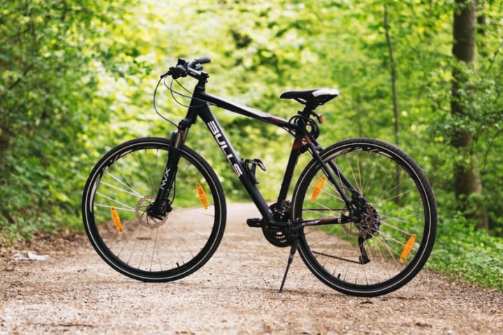 a bicycle is parked next to a forest
