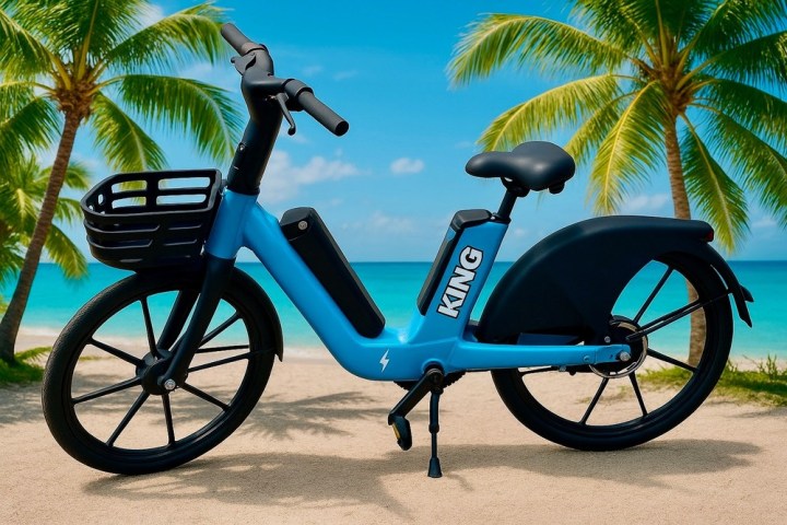 a bicycle is parked next to a palm tree